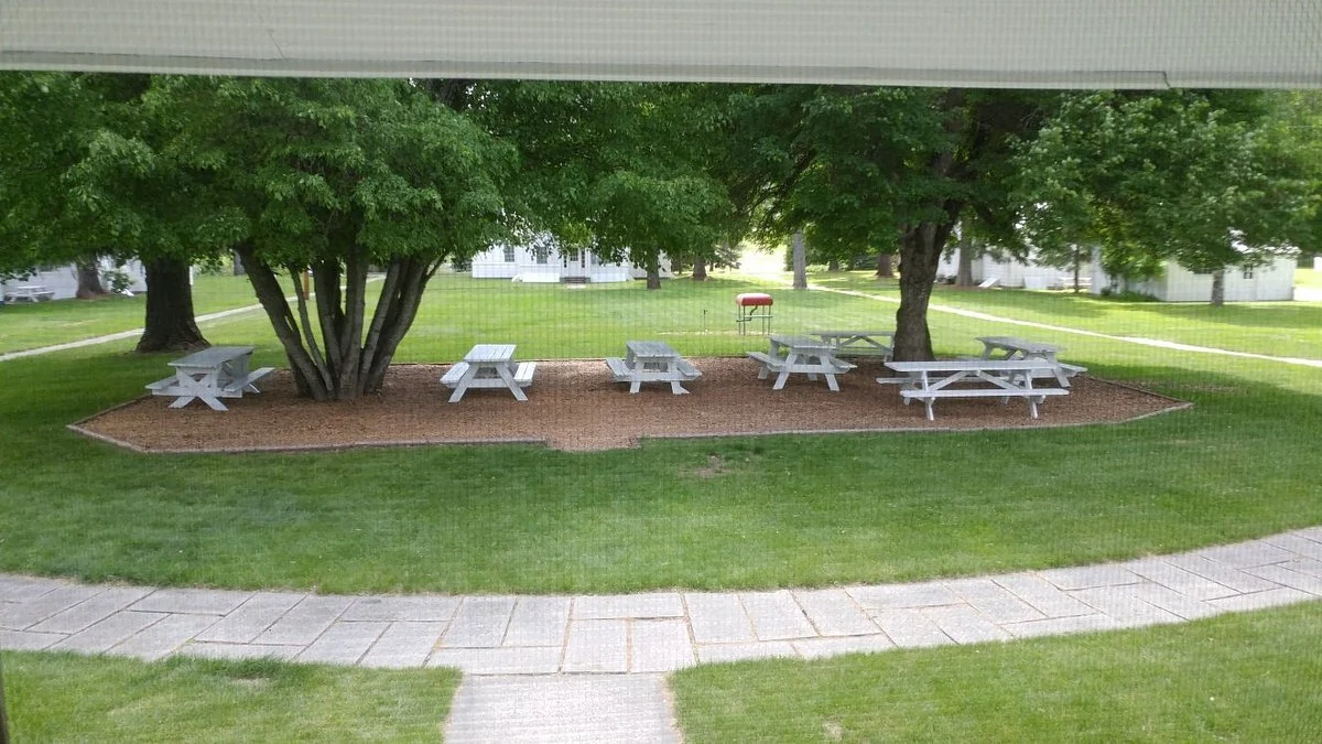 Savenac Historic Tree Nursery