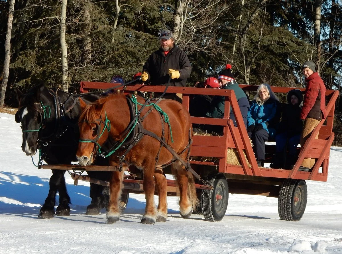 Red Lodge Guest Ranch