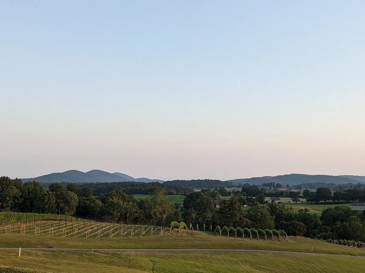 Delaplane Cellars