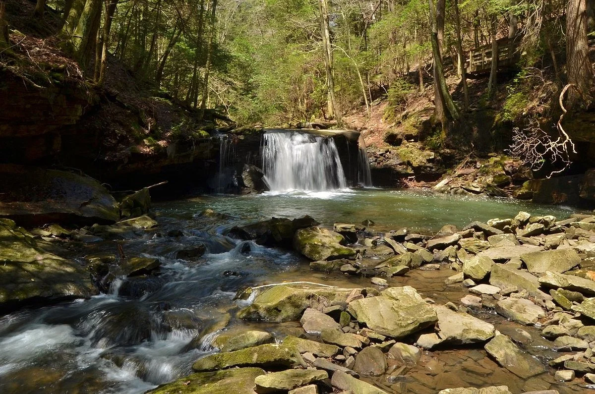 Grundy Forest Natural Area