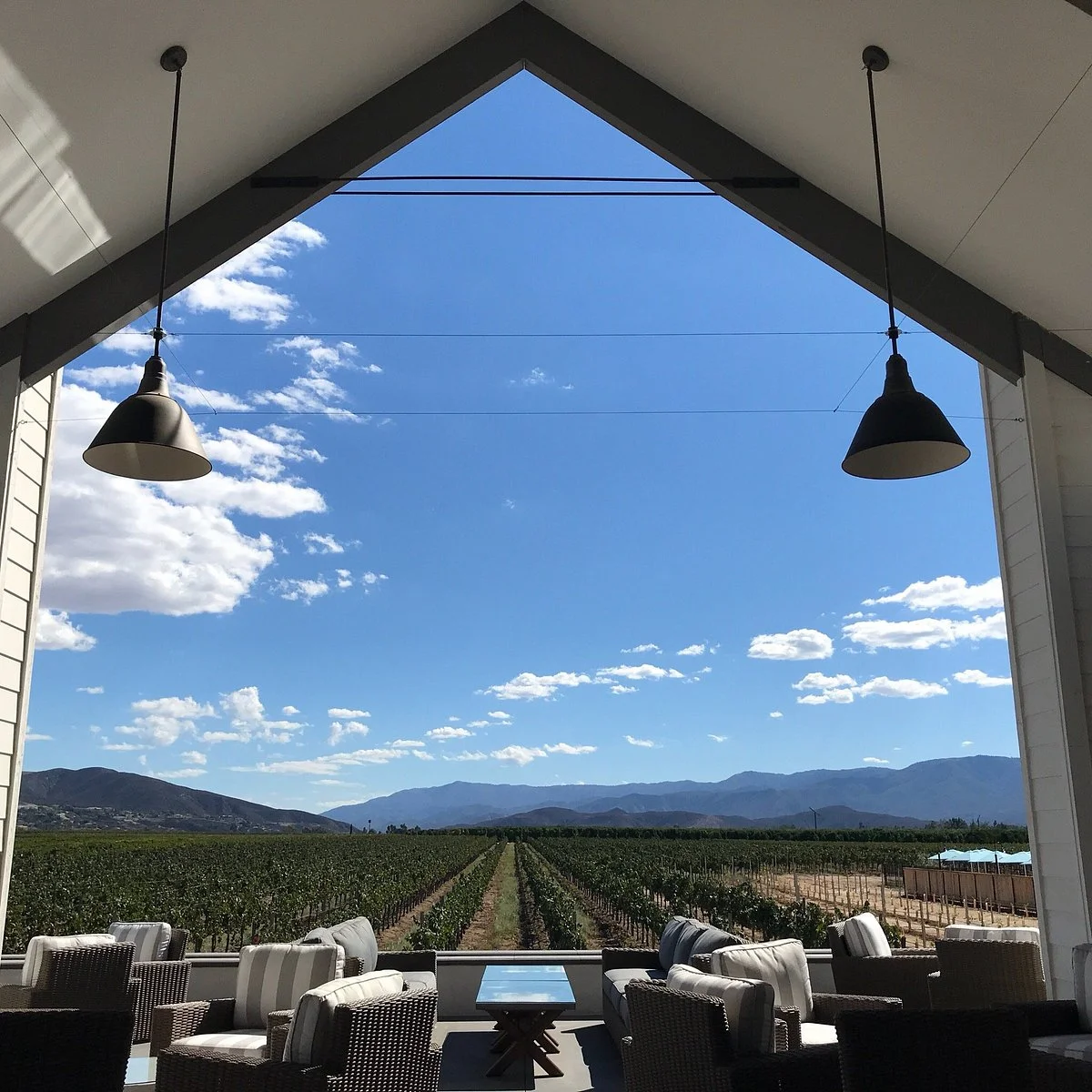 BOTTAIA Winery