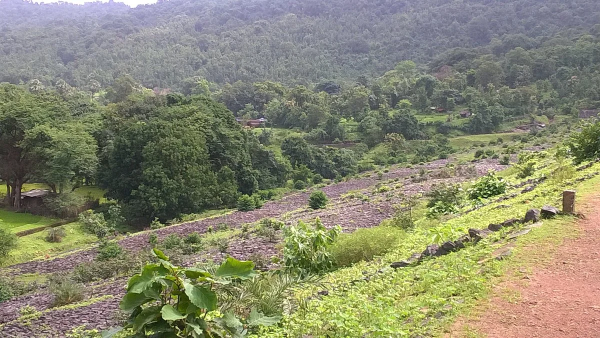 Aswali Dam