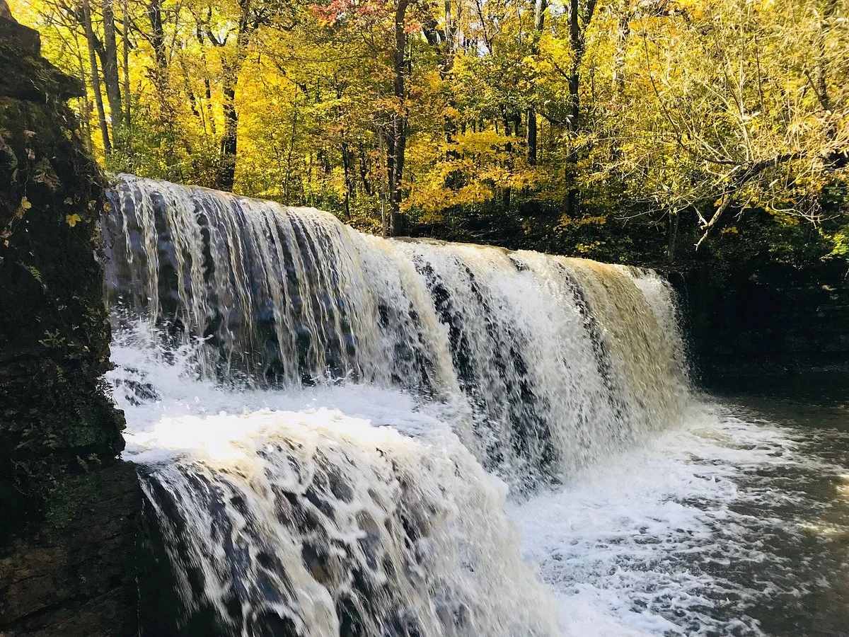 Nerstrand Big Woods State Park