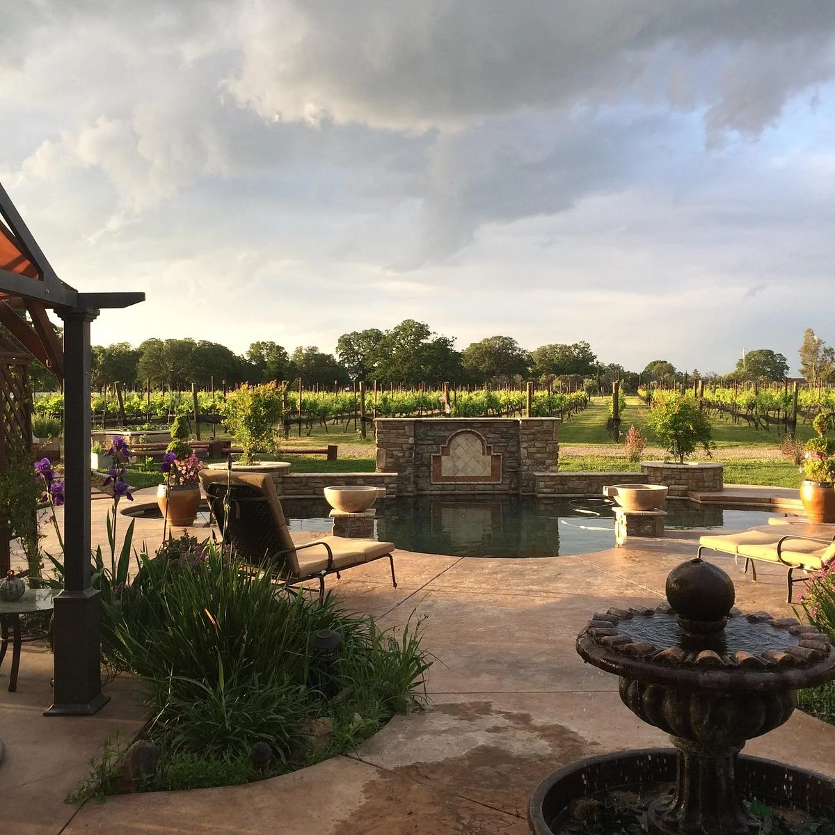 Tuscan Ridge Estate  Winery