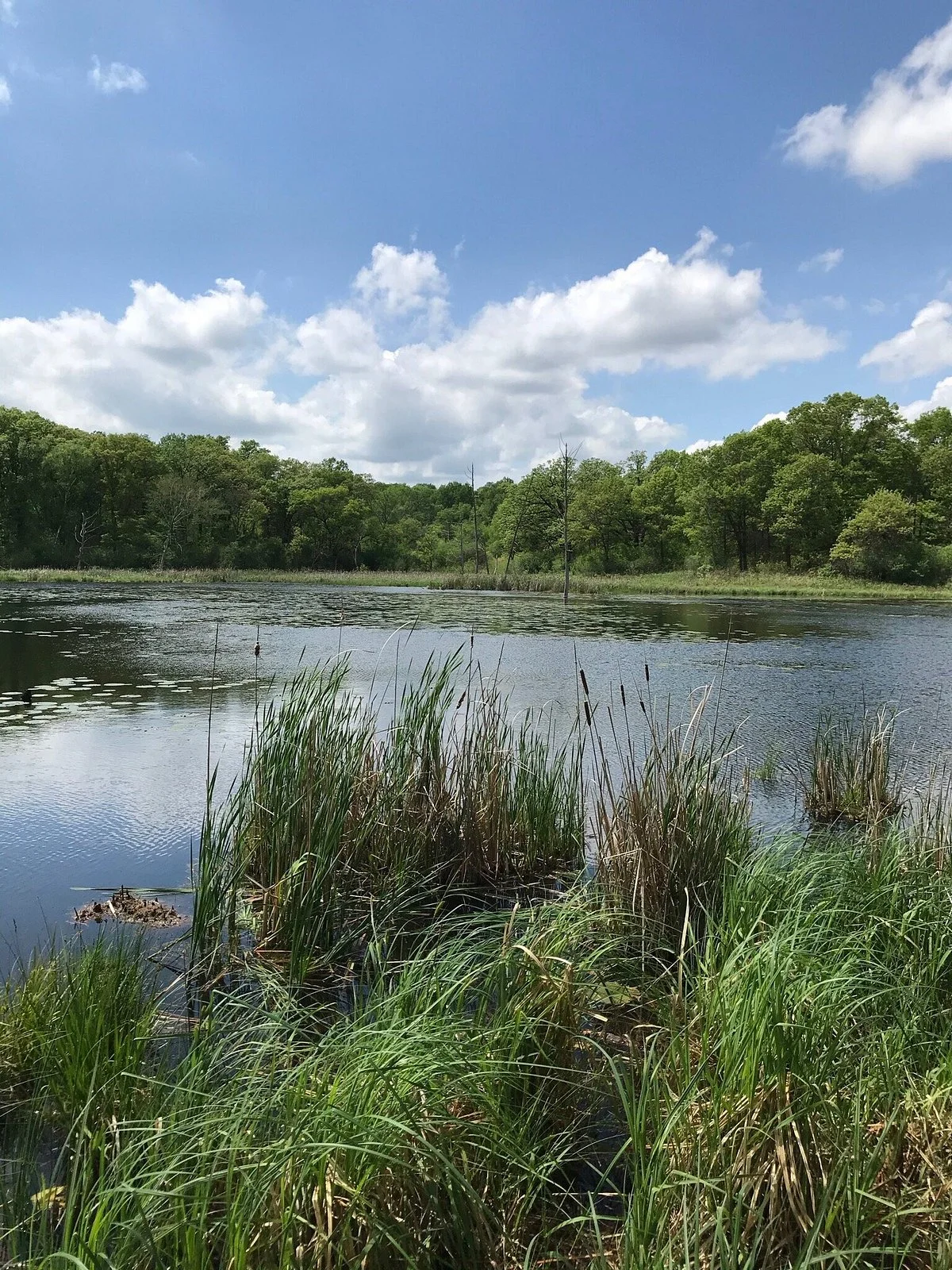 William O'Brien State Park