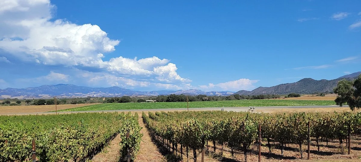 Kalyra Winery