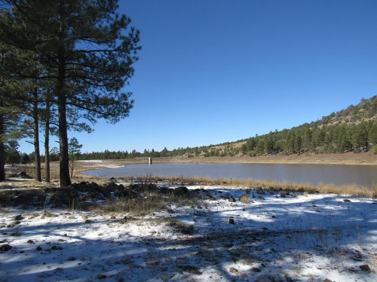 Kaibab National Forest