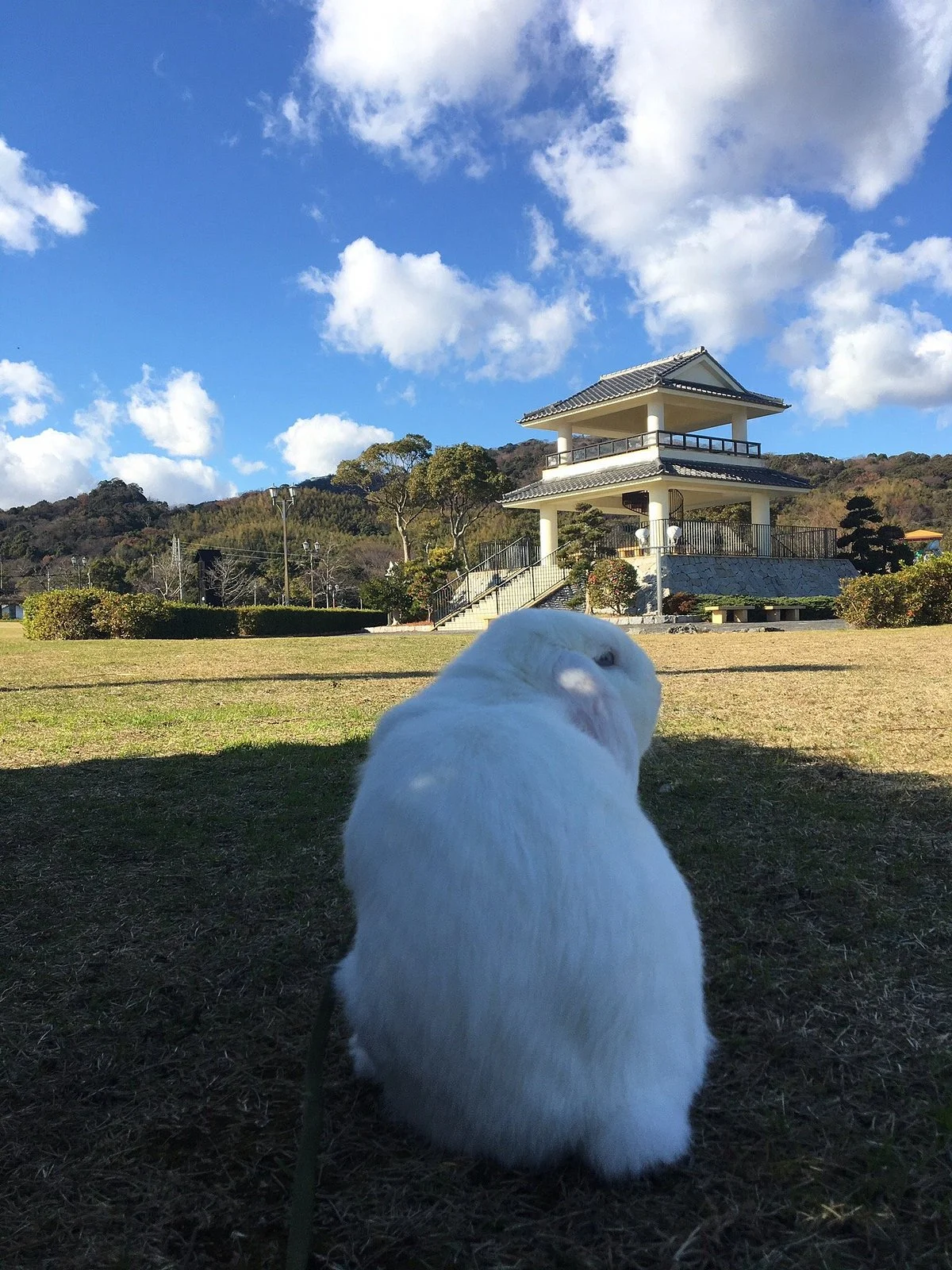 Sodayama Park