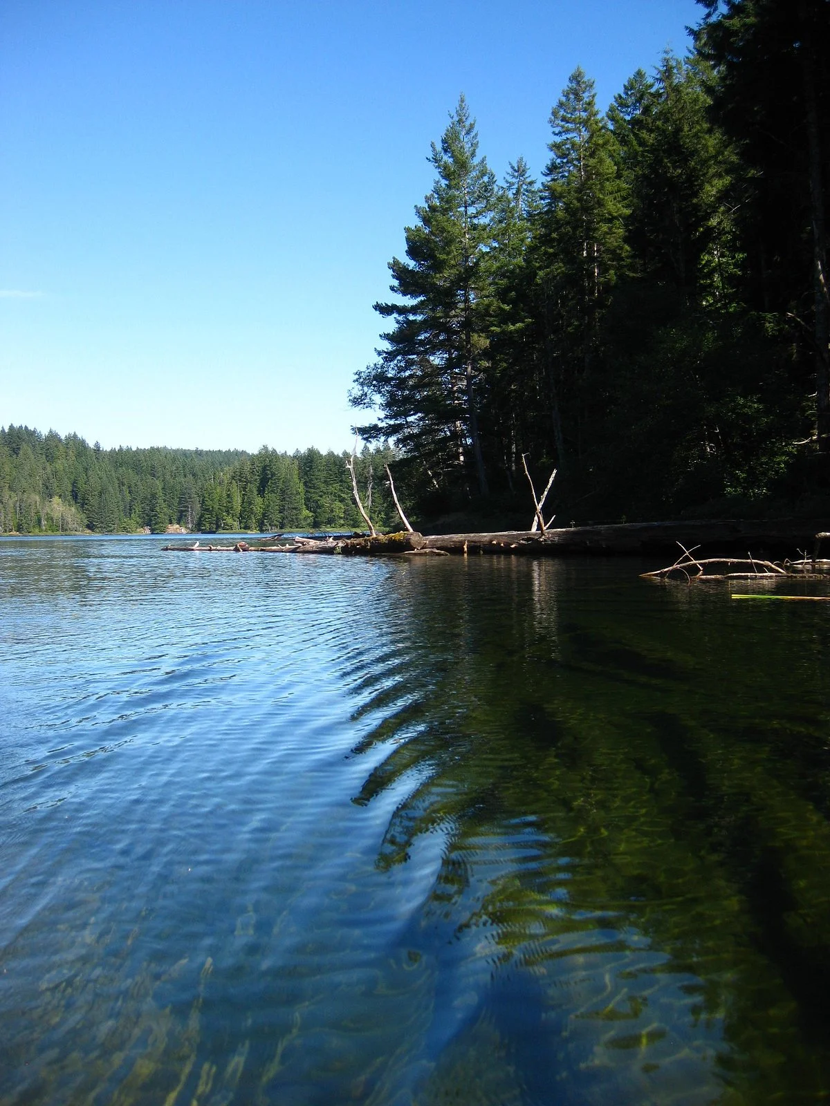 Main Lake Provincial Park