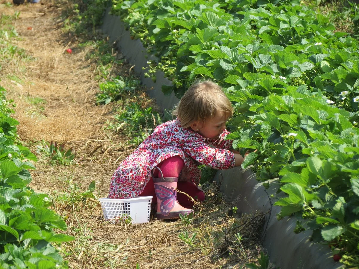 Hickory Ridge Farm
