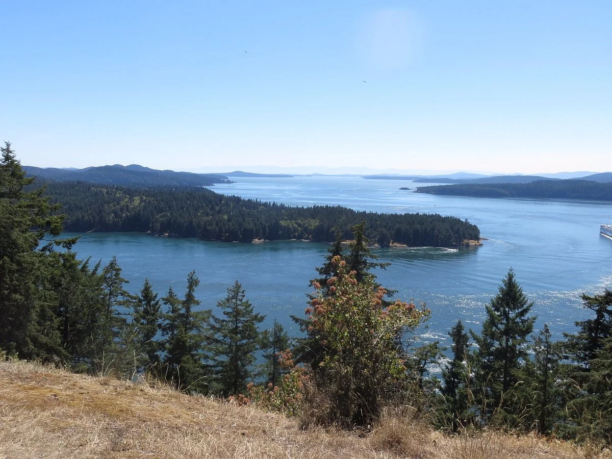 Bluffs Park
