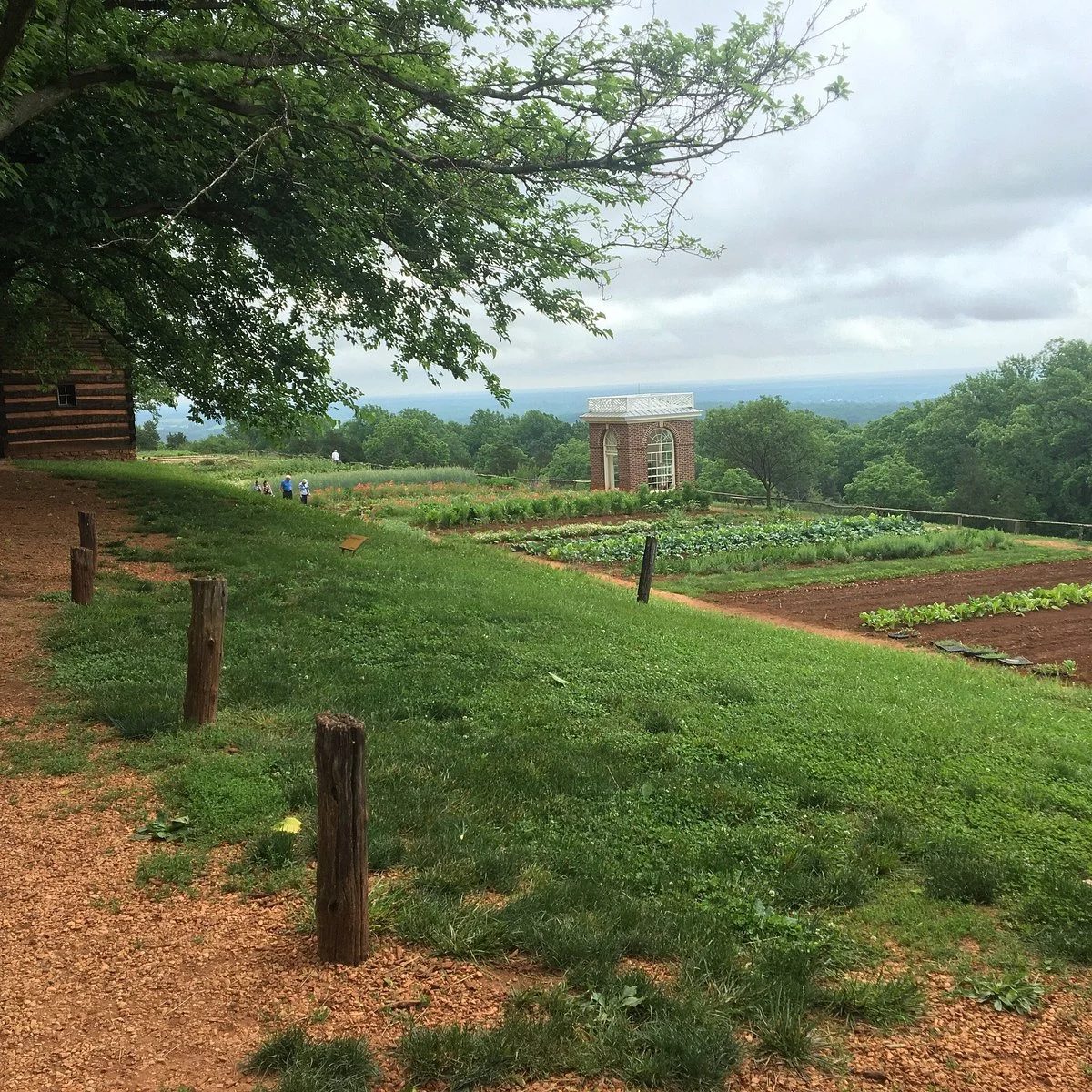 Mulberry Row