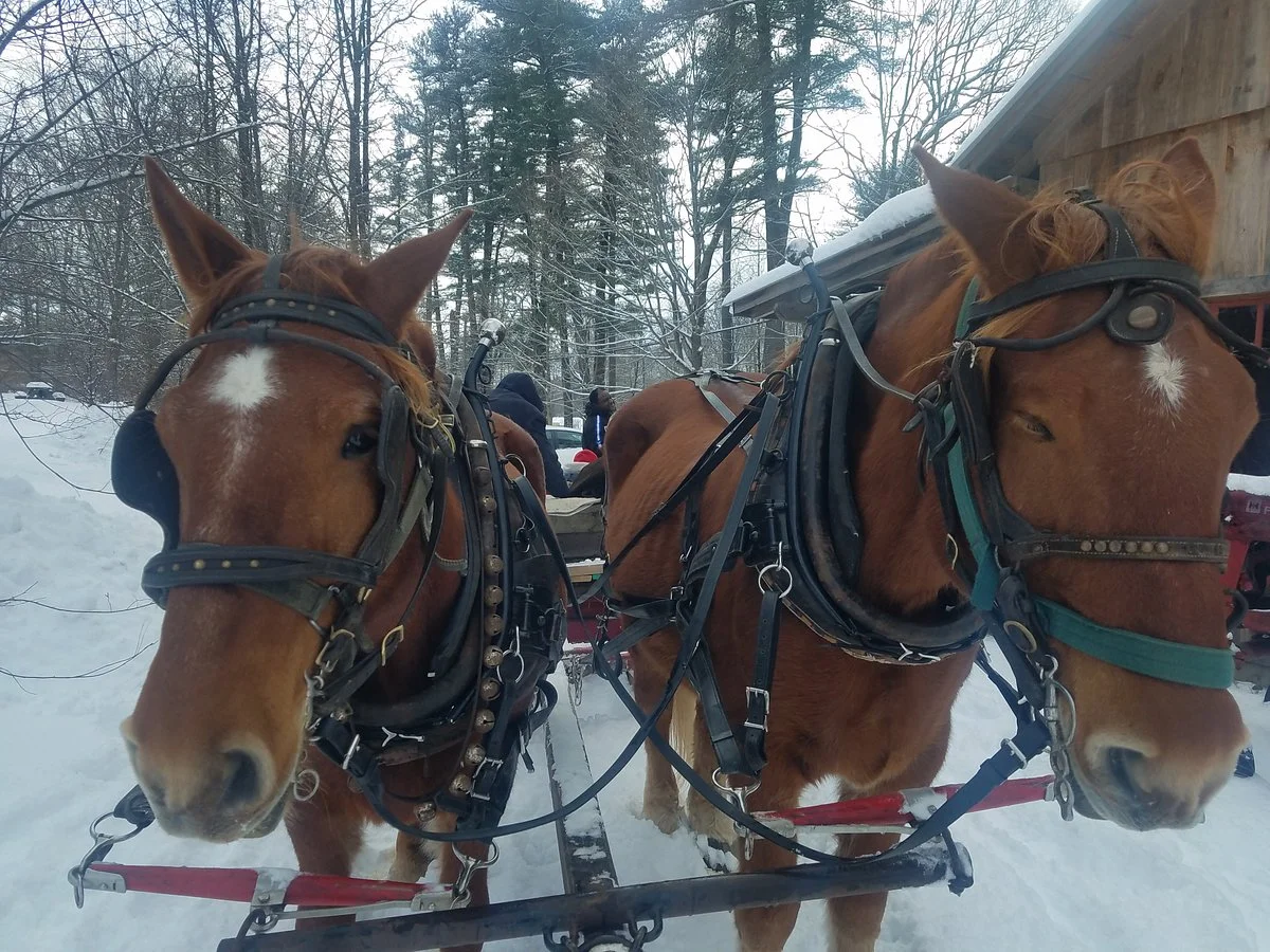 Fair Winds Farm