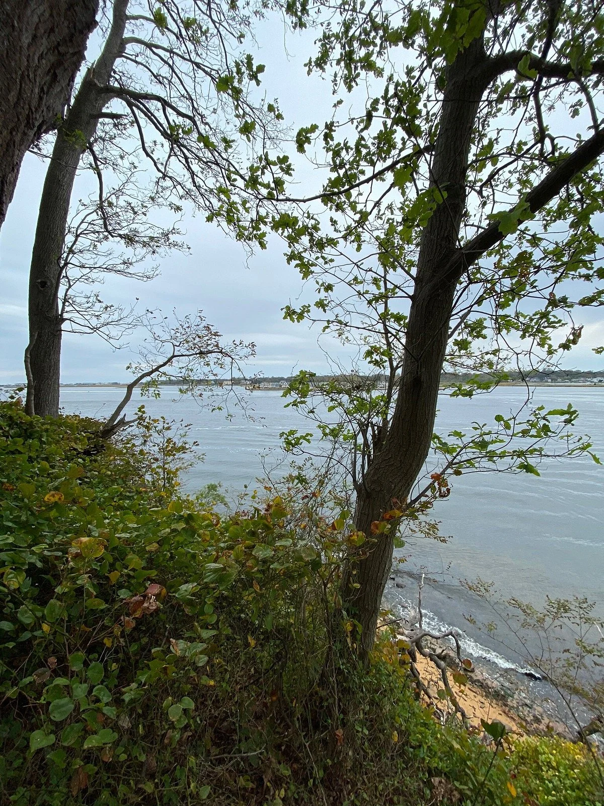 Hartshorne Woods Park