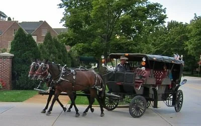 Bulitz Farm