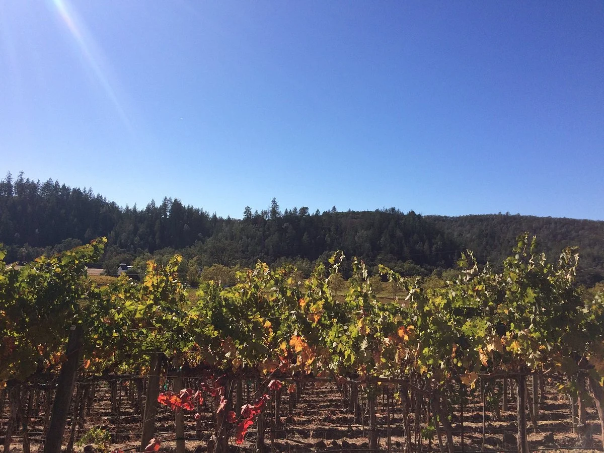 Anderson's Conn Valley Vineyards
