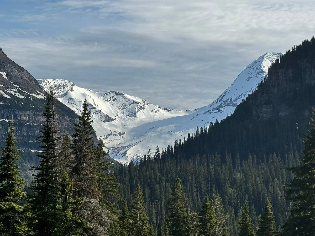 Jackson Glacier Overlook