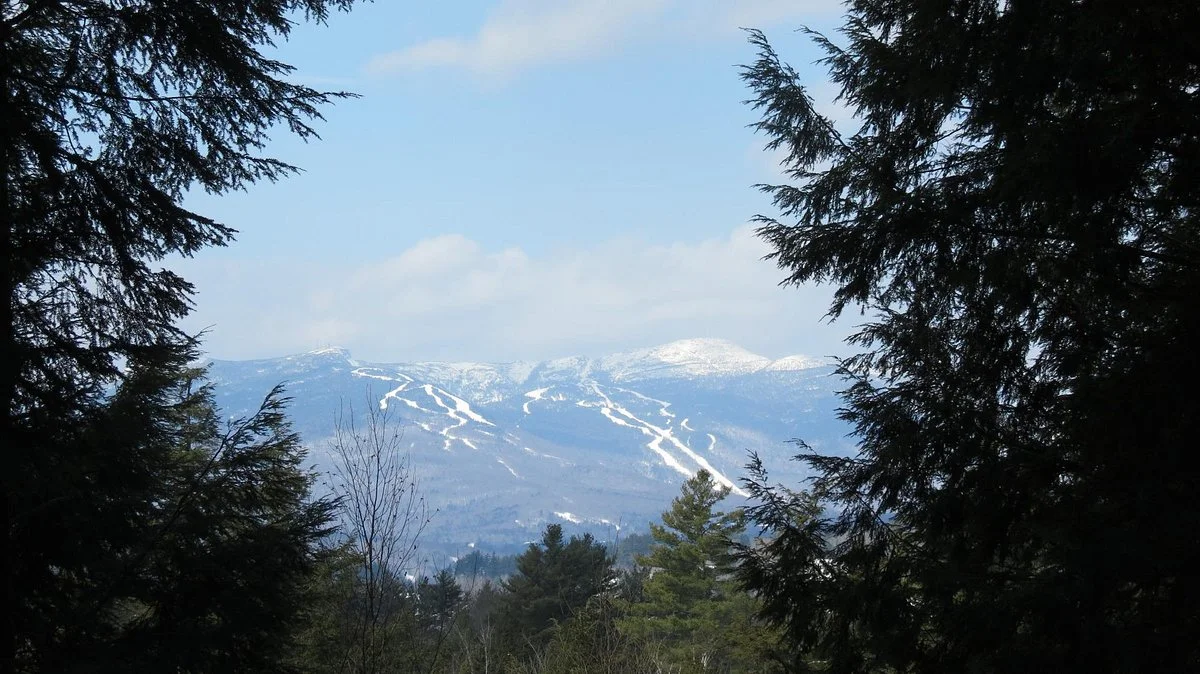 Cady Hill Forest