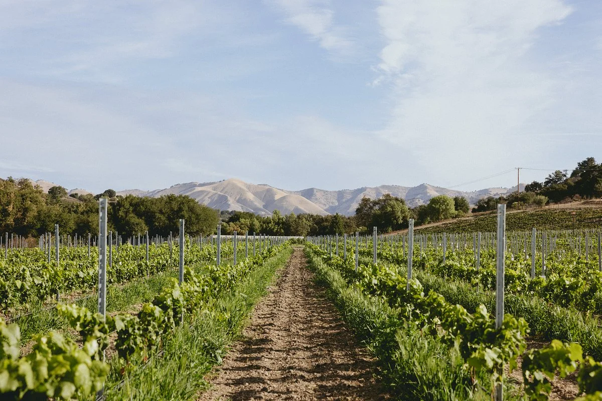 Koehler Winery