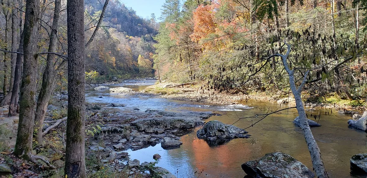 Laurel River Trail