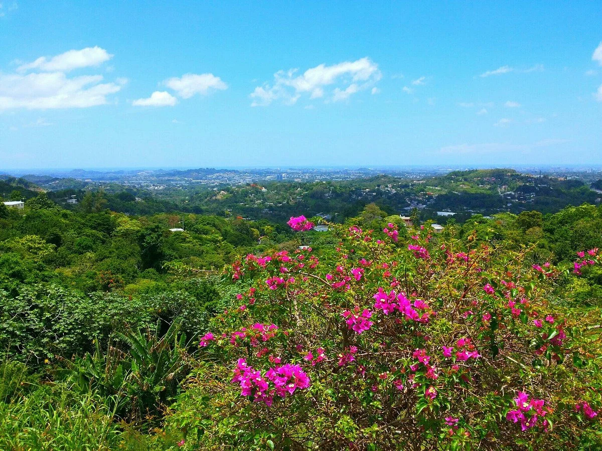 Mirador Gavillan