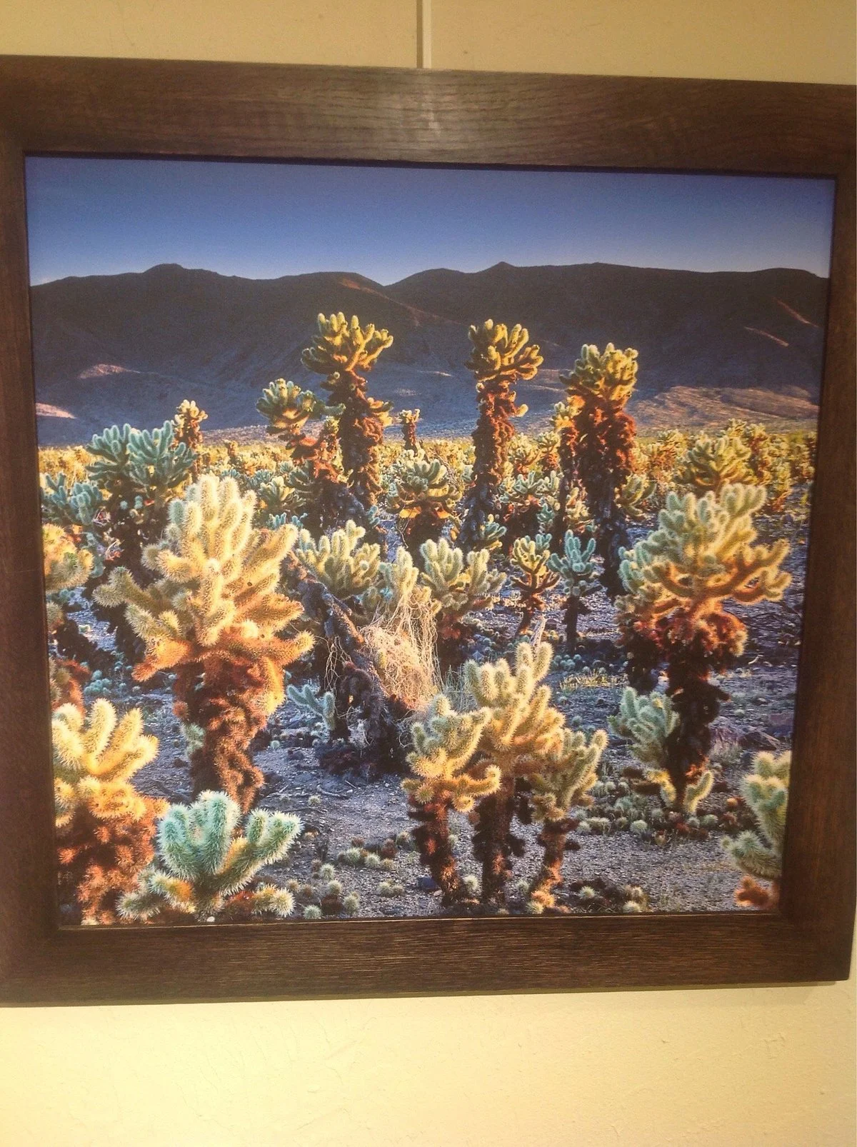 29 Palms Art Gallery