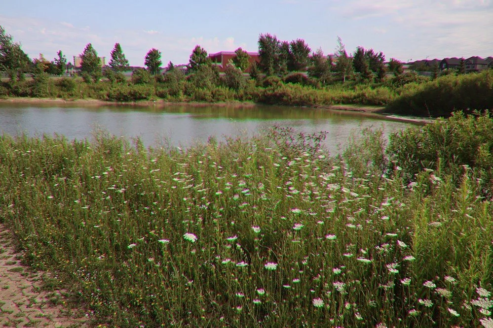St. Moritz Park
