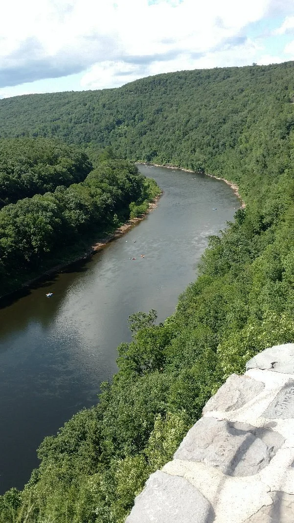 Hawk's Nest