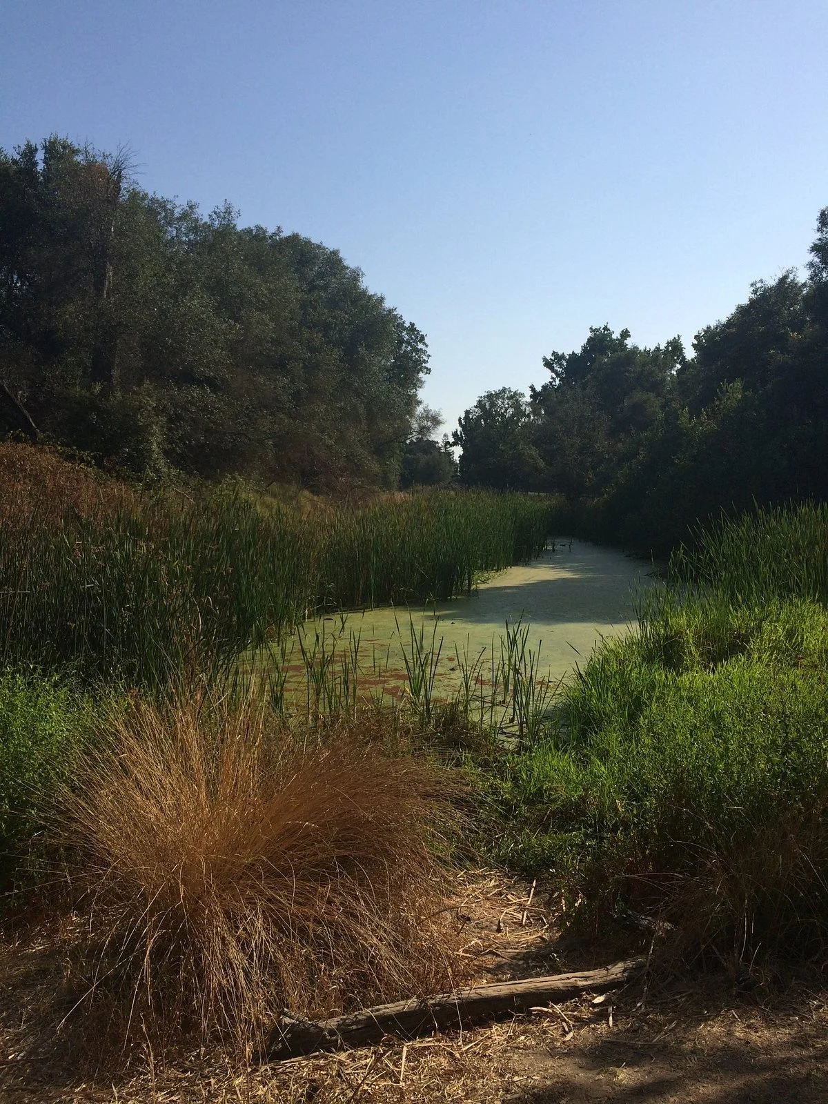 Effie Yeaw Nature Center