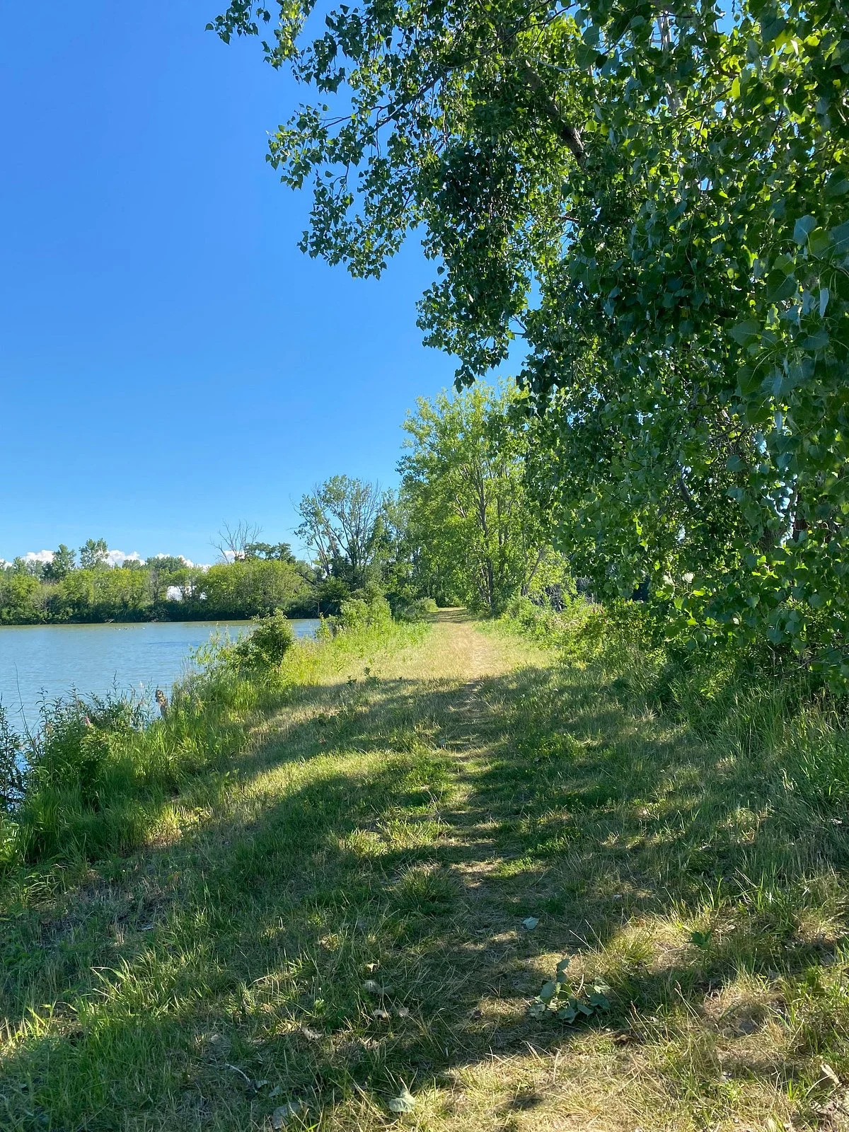 Pipe Creek Wildlife Area