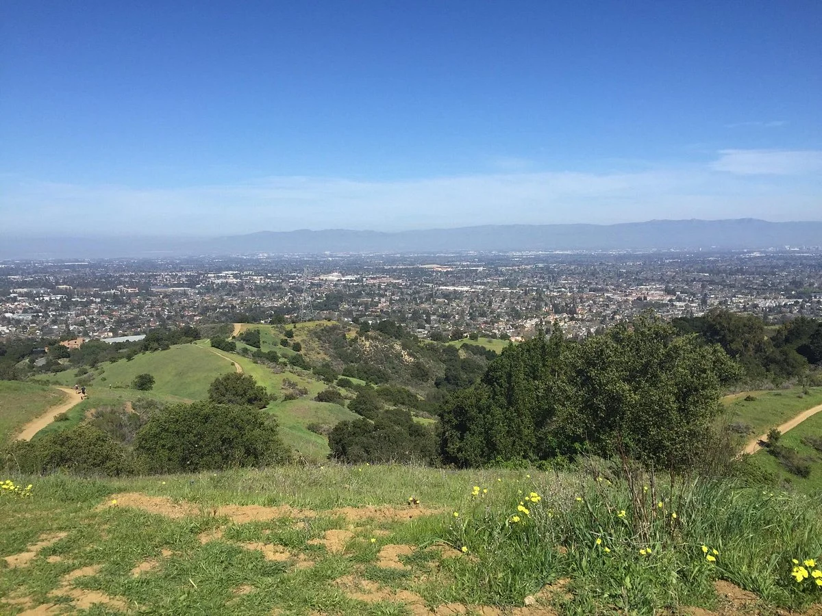 Fremont Older Open Space Preserve