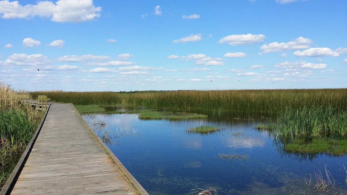 Anahuac National Wildlife Refuge