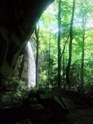 Bad Branch State Nature Preserve