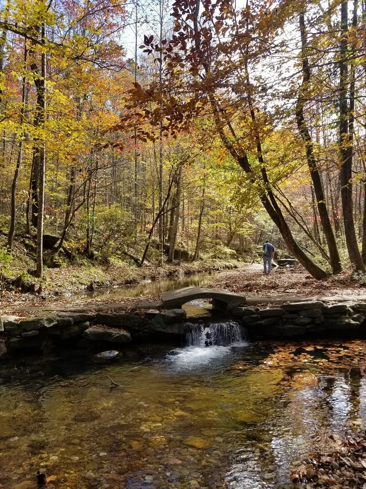 Cane Creek Canyon Nature Preserve