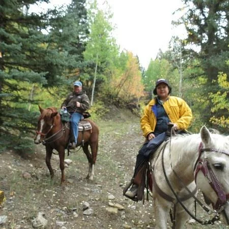 D bar G Outfitters-Horse Back Riding