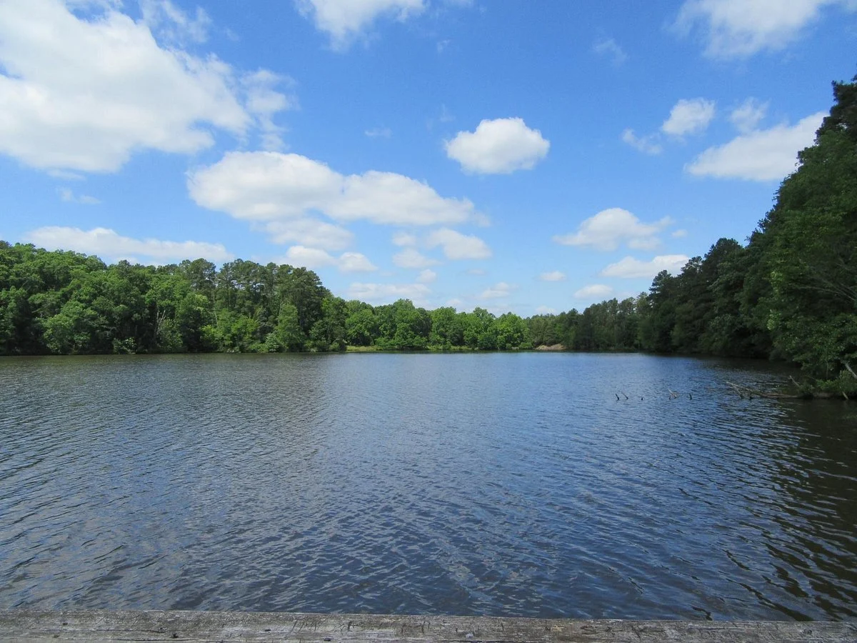 Chester State Park