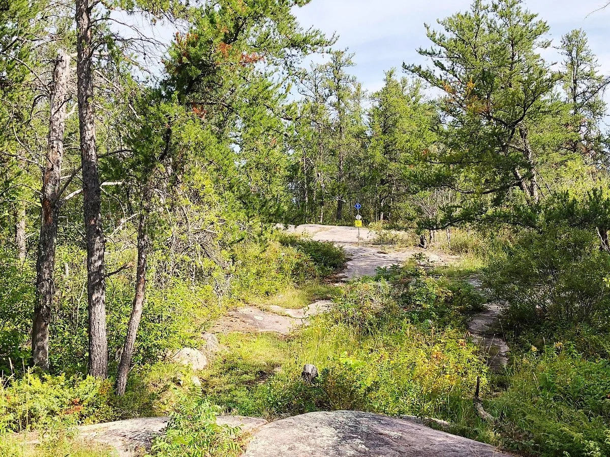 Blueberry Hill Trail
