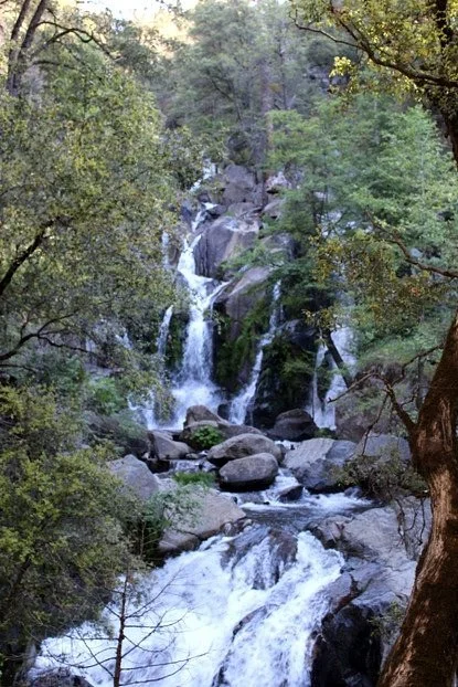 Lewis Creek Trail