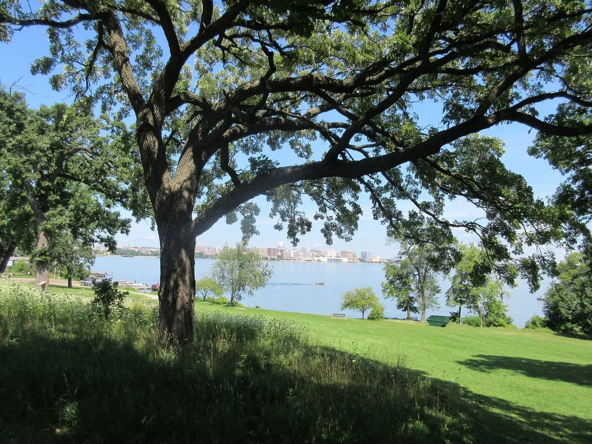 Olin-Turville Park