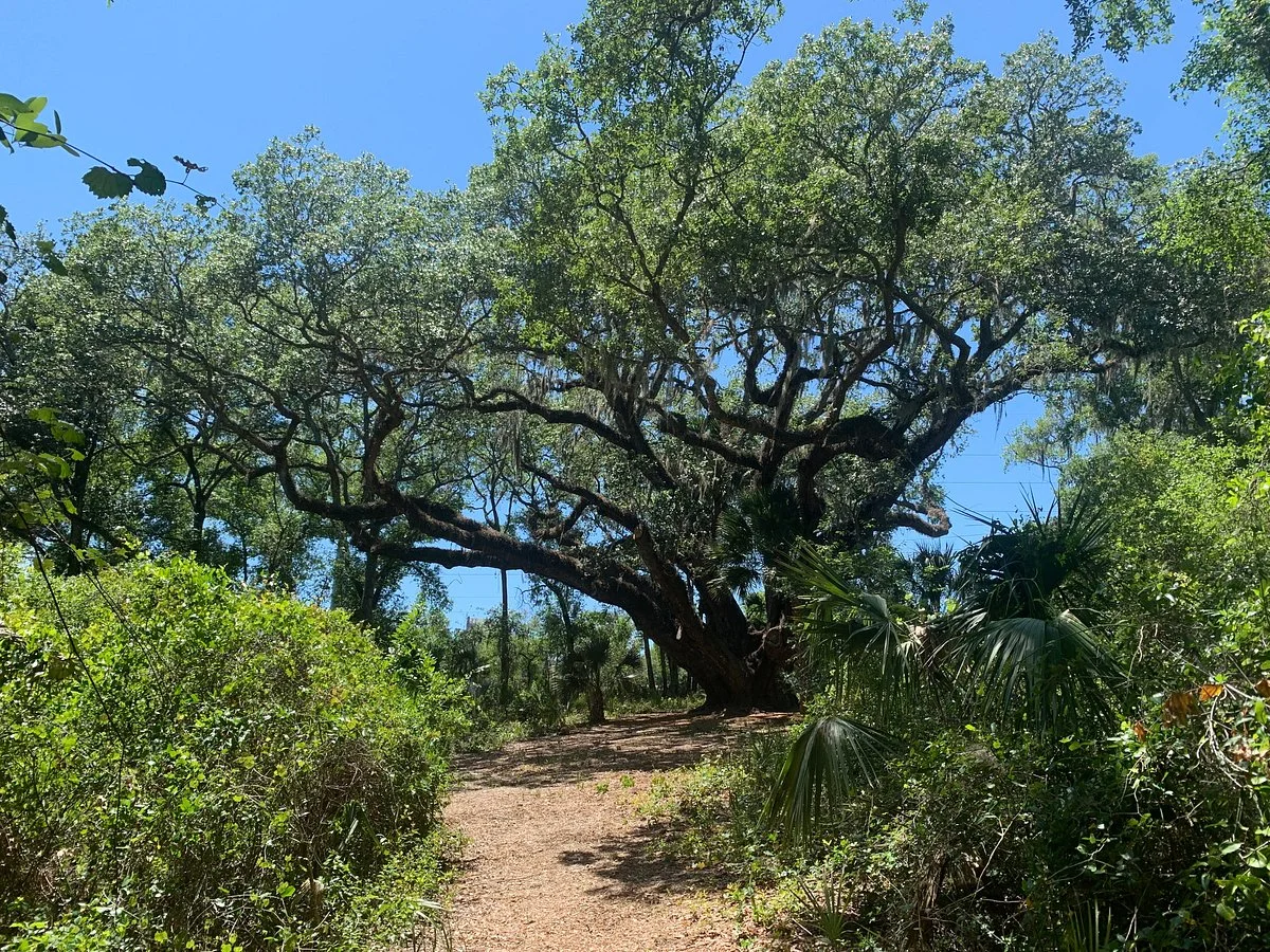 Lake Griffin State Park