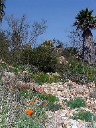 Environmental Nature Center