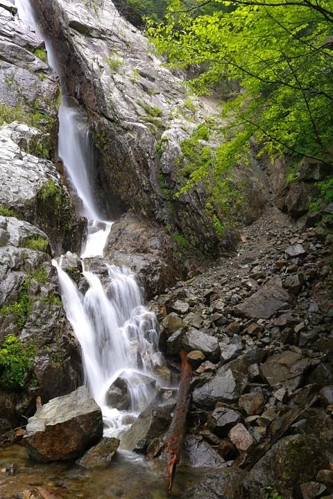 Roaring Brook Falls