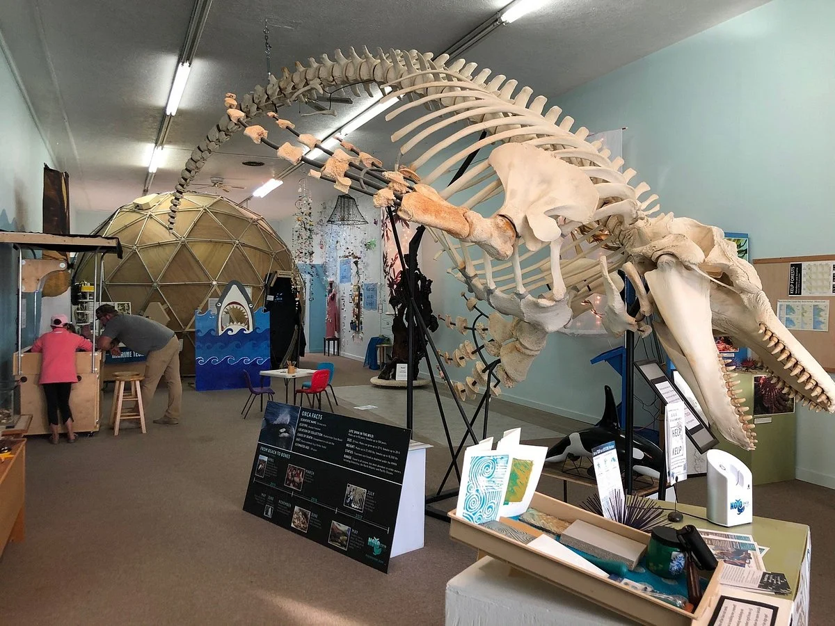 Noyo Center for Marine Science