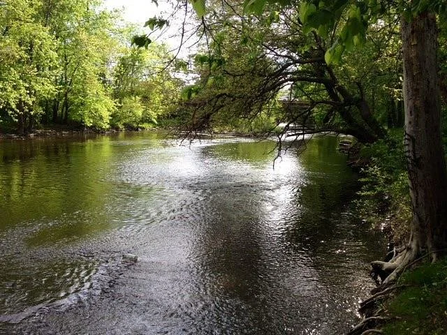 Sarah Taylor Park