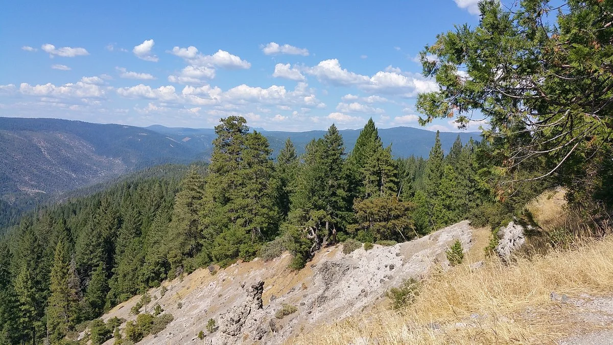 Tahoe National Forest