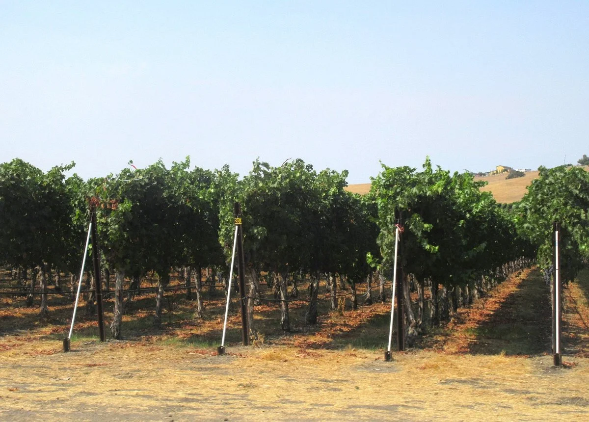 Cedar Mountain Winery & Port Works