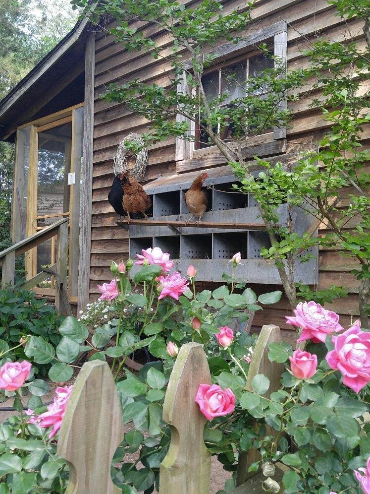 Split Creek Farm