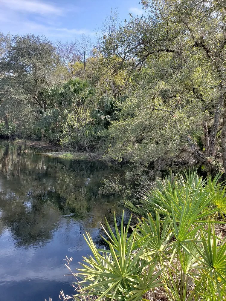 Econ River Wilderness Area