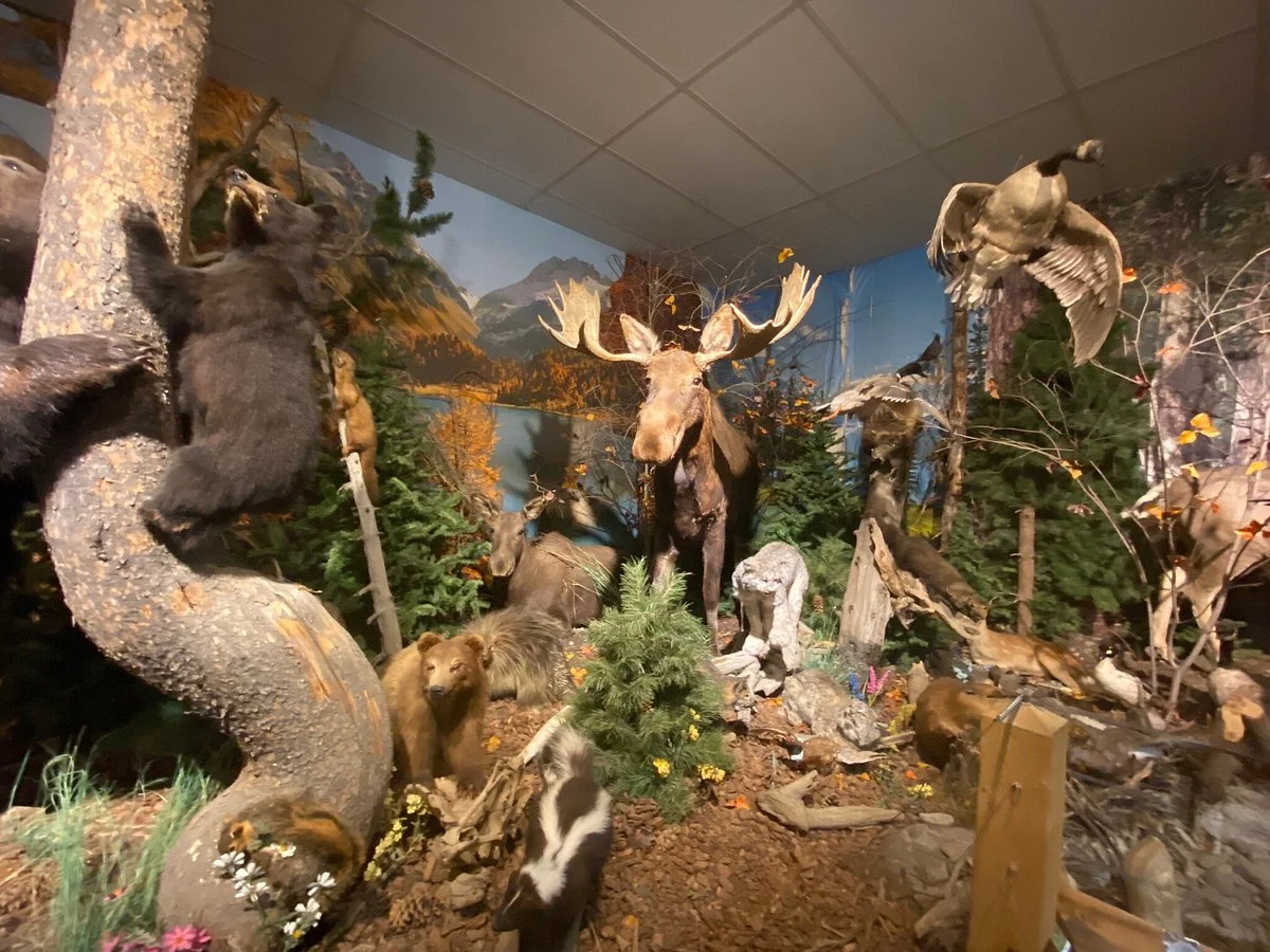 Yellowstone Trading Post