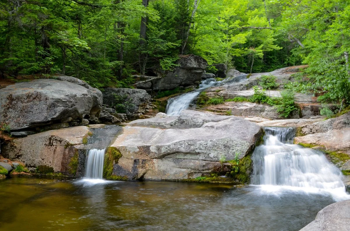 Step Falls Preserve Hiking Trail